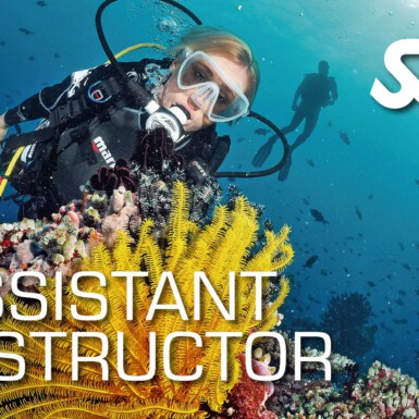 SSI Assistant Instructor