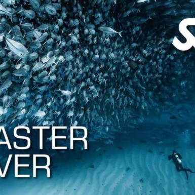SSI Master Diver