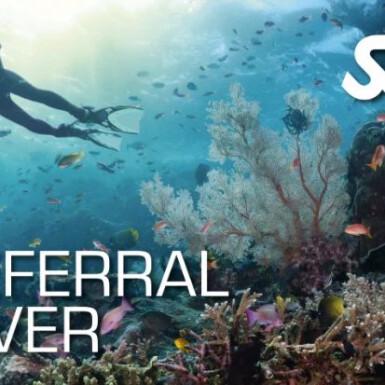 SSI Referral Diver