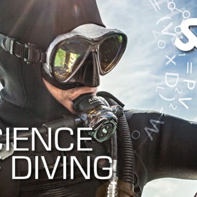 SSI Science of Diving