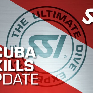 SSI Scuba Skills Update