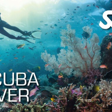 SSI Scuba Diver