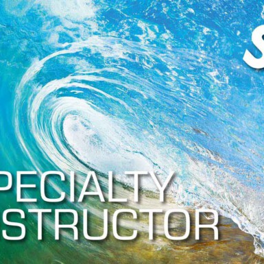 SSI Specialty Instructor