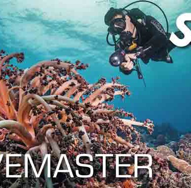 SSI Divemaster Crossover