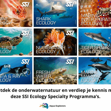 Ecology Specialty Programma Bundle