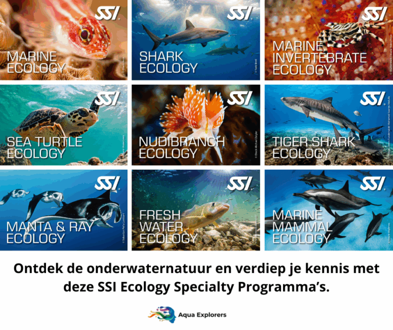 Ecology Specialty Programm - Aqua Explorers (1)